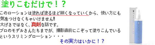 イマージェントL-55